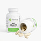 Gut Health
